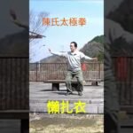 tai chi chuan